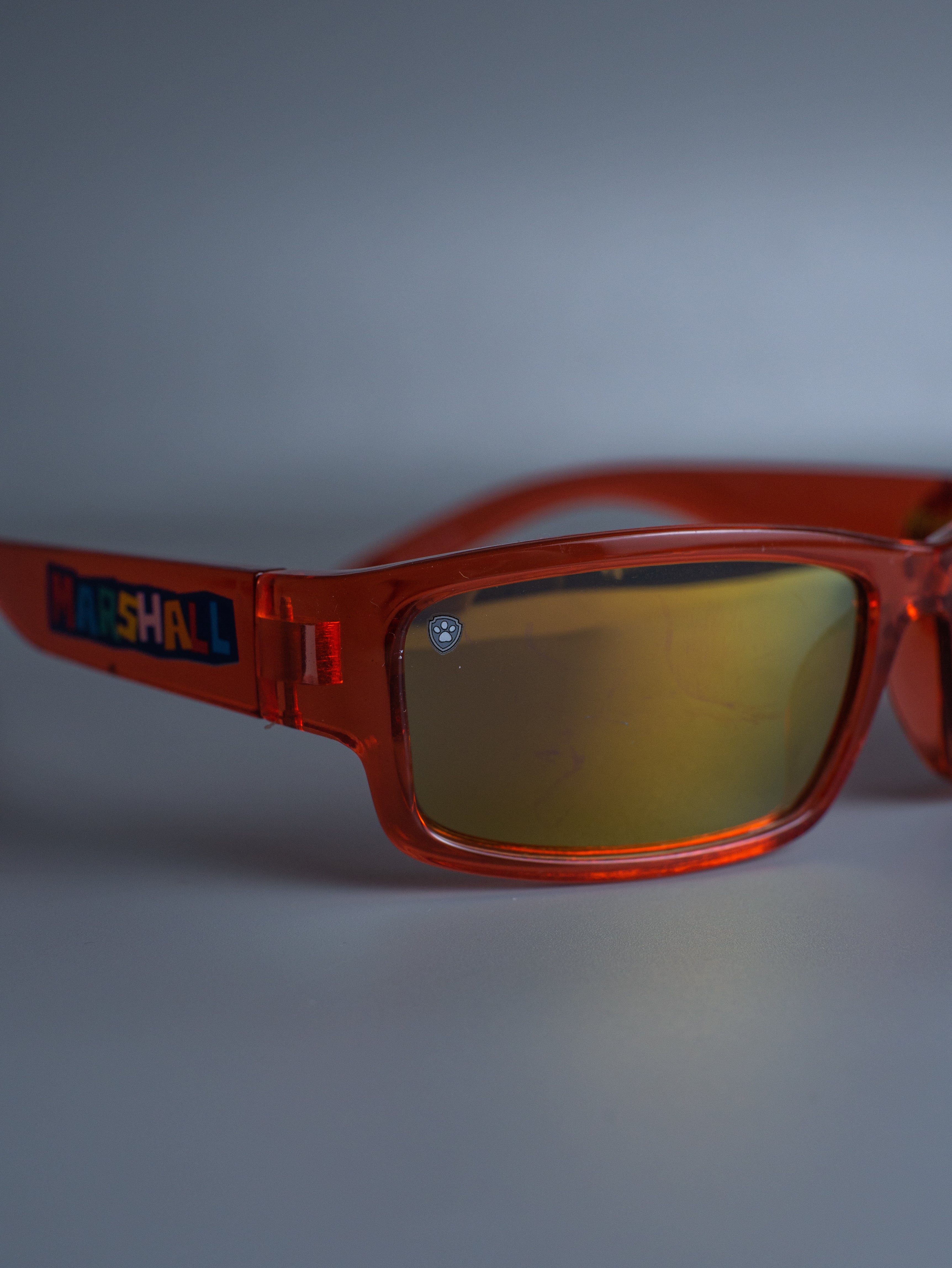 LENTES PAW PATROL
