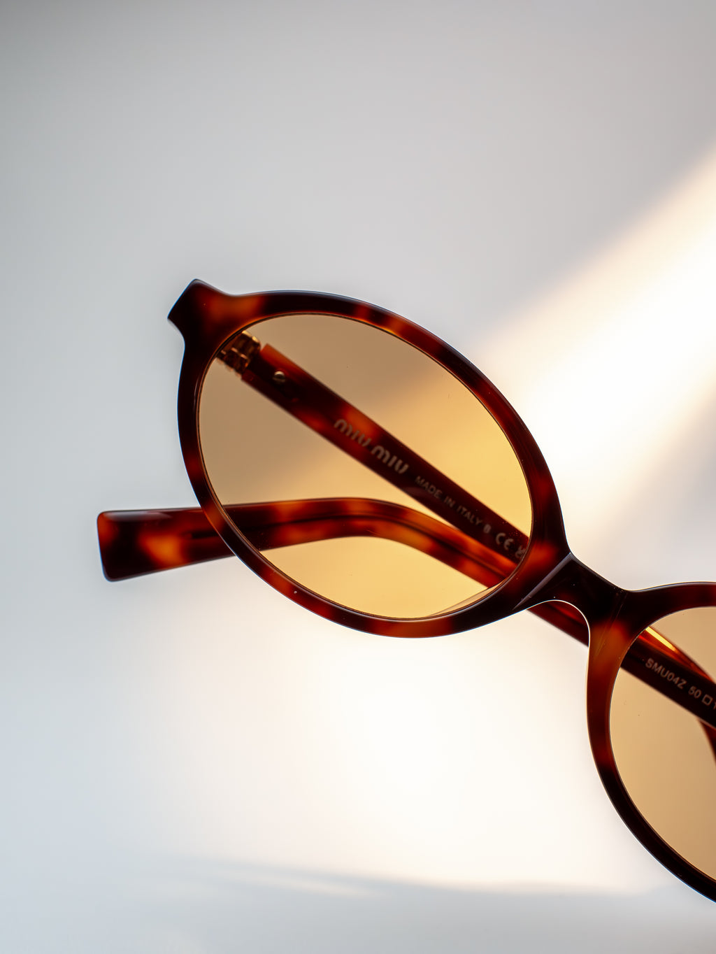 MIU MIU REGARD HAVANA