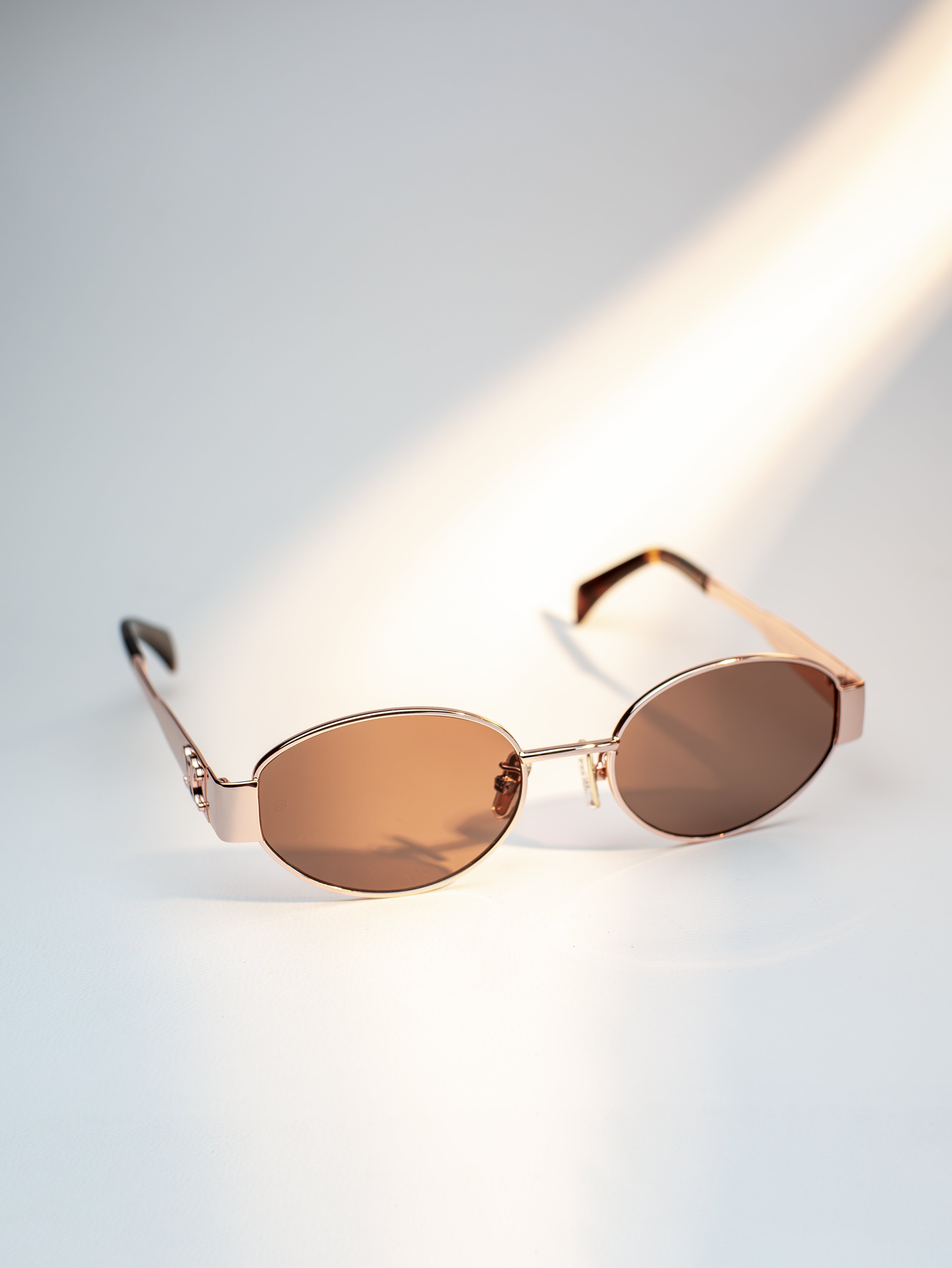 CELINE BROWN TRIOMPHE METAL 01