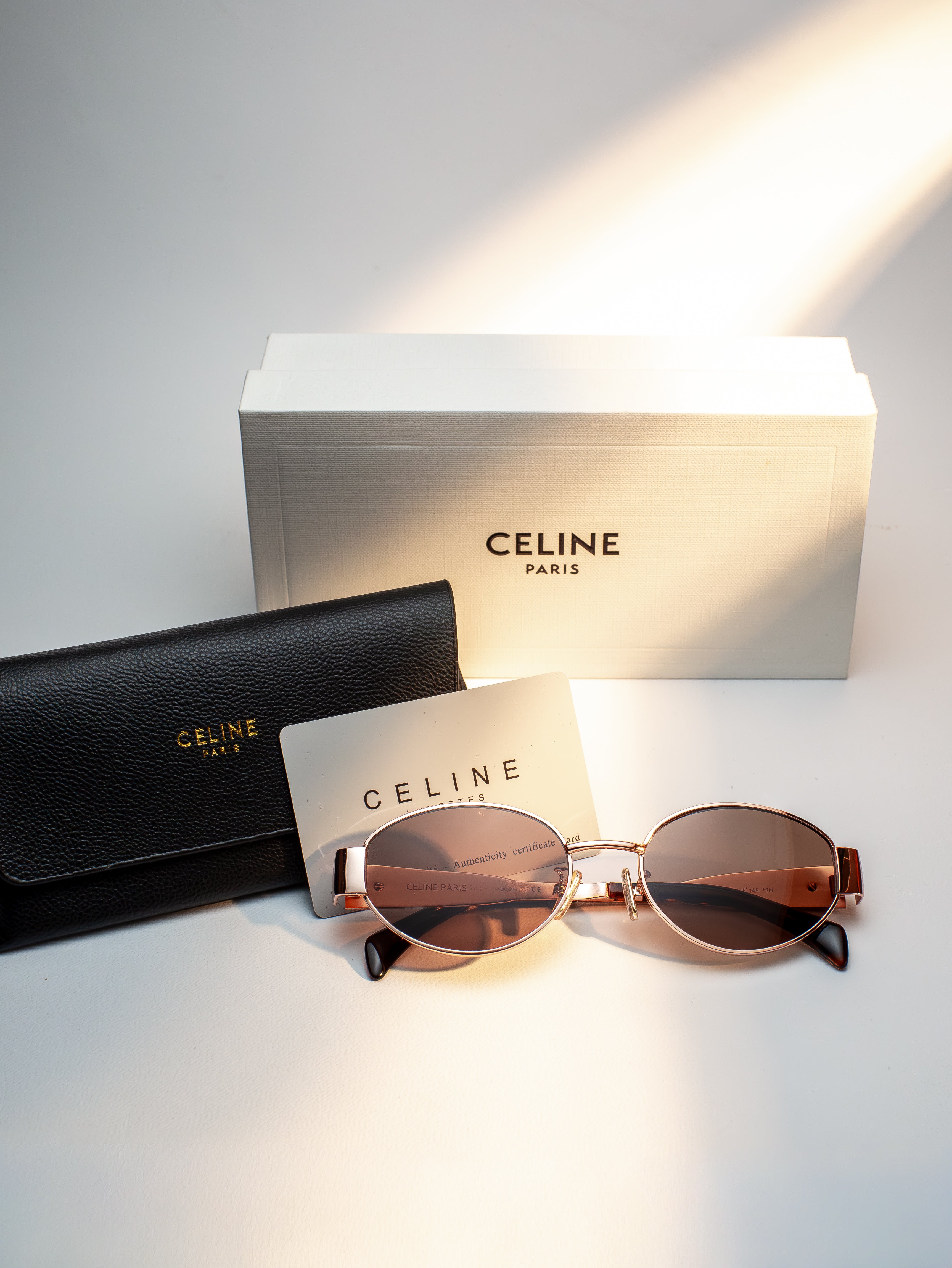 CELINE BROWN TRIOMPHE METAL 01